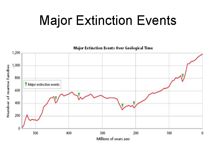 Major Extinction Events 