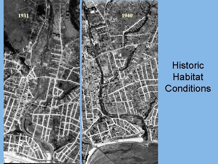1931 1940 Historic Habitat Conditions 