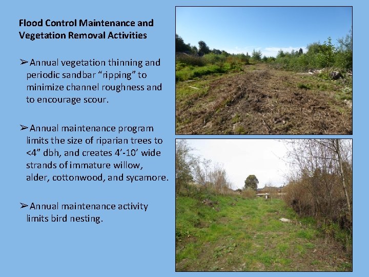 Flood Control Maintenance and Vegetation Removal Activities ➢Annual vegetation thinning and periodic sandbar “ripping”