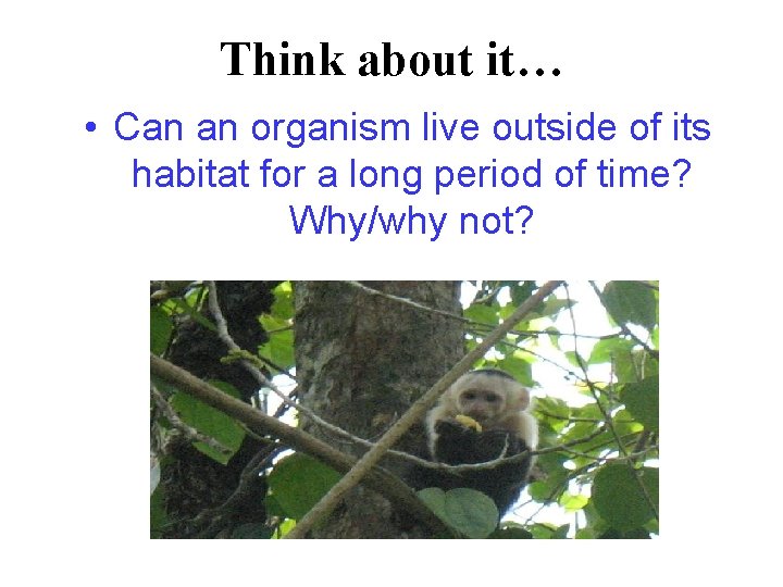 Think about it… • Can an organism live outside of its habitat for a Think about it… • Can an organism live outside of its habitat for a
