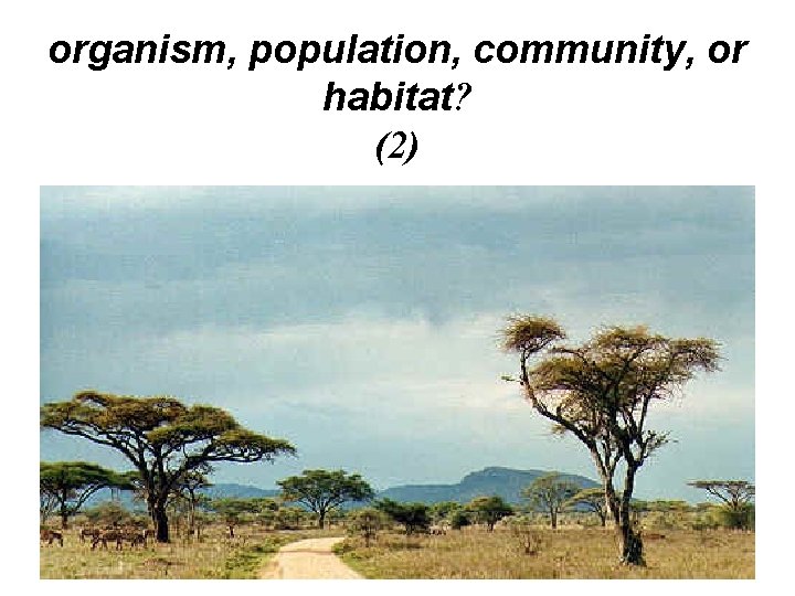 organism, population, community, or habitat? (2) organism, population, community, or habitat? (2)