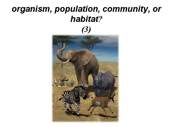 organism, population, community, or habitat? (3) organism, population, community, or habitat? (3)