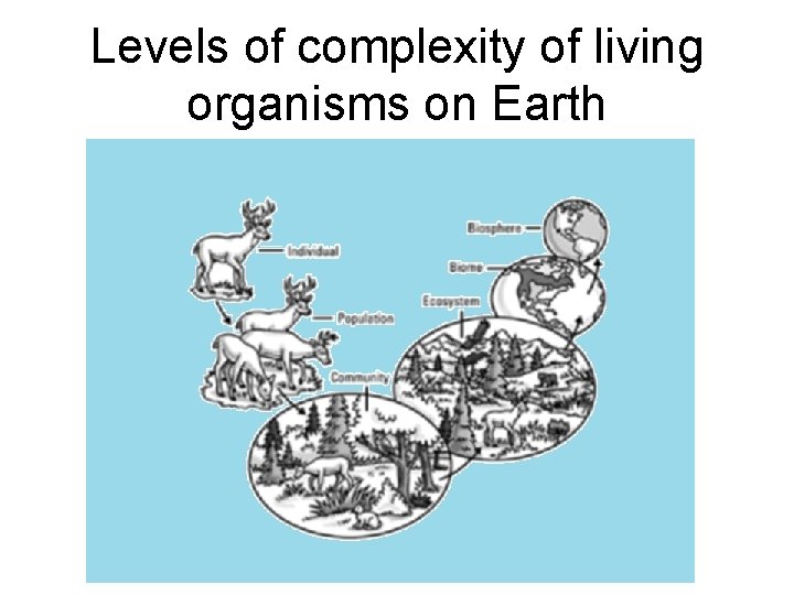 Levels of complexity of living organisms on Earth Levels of complexity of living organisms on Earth