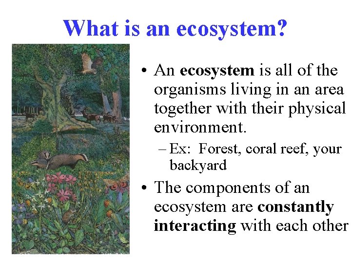 What is an ecosystem? • An ecosystem is all of the organisms living in What is an ecosystem? • An ecosystem is all of the organisms living in