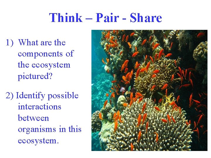 Think – Pair - Share 1) What are the components of the ecosystem pictured? Think – Pair - Share 1) What are the components of the ecosystem pictured?