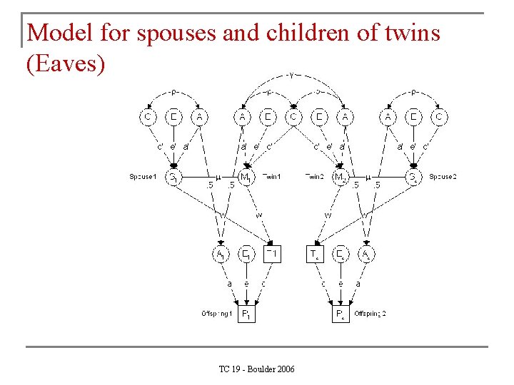 Model for spouses and children of twins (Eaves) TC 19 - Boulder 2006 