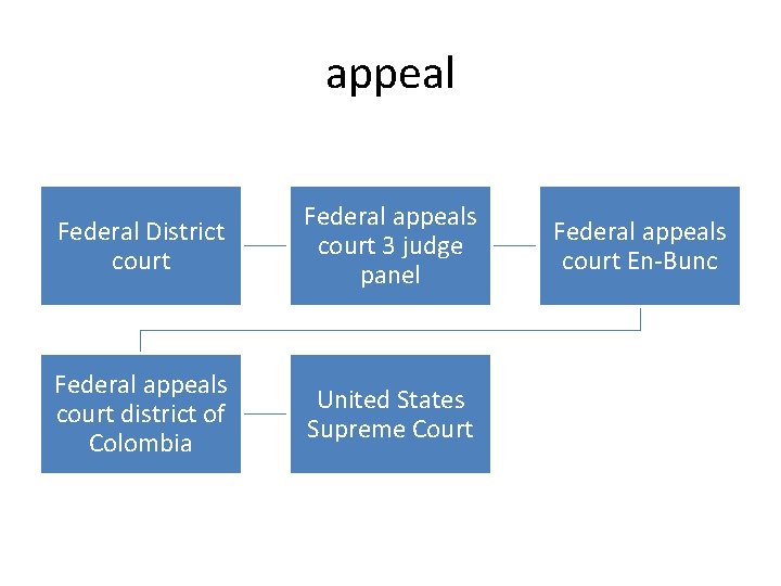 appeal Federal District court Federal appeals court 3 judge panel Federal appeals court district