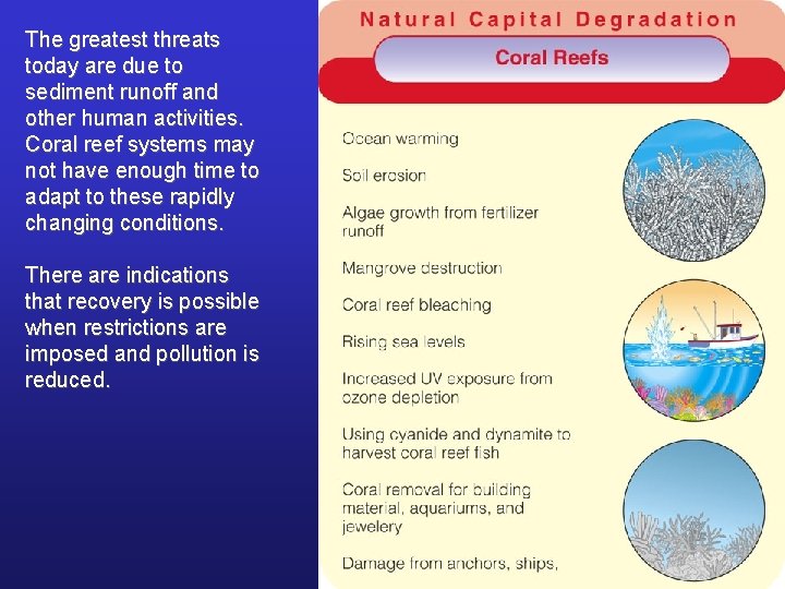 The greatest threats today are due to sediment runoff and other human activities. Coral