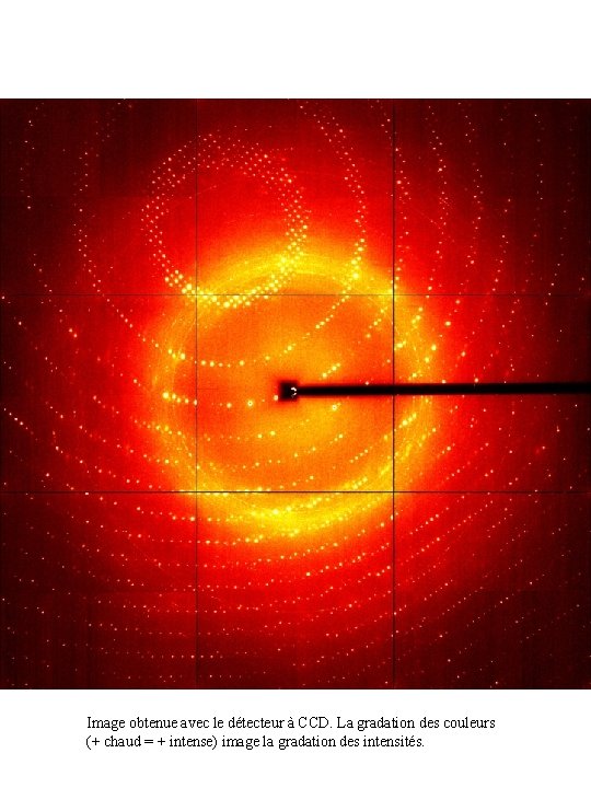 Image obtenue avec le détecteur à CCD. La gradation des couleurs (+ chaud =