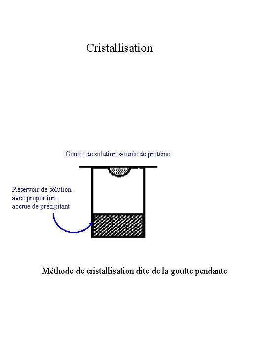 Cristallisation Goutte de solution saturée de protéine Réservoir de solution avec proportion accrue de