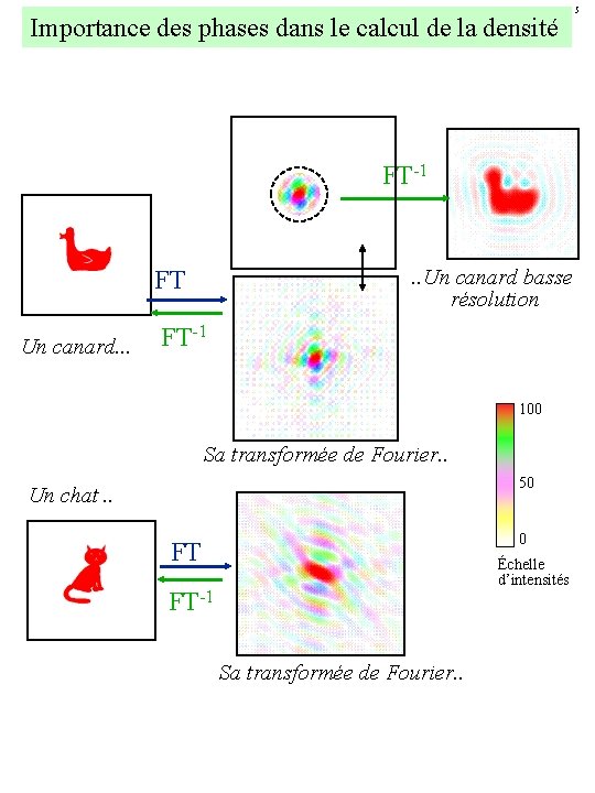 Importance des phases dans le calcul de la densité FT-1 . . Un canard