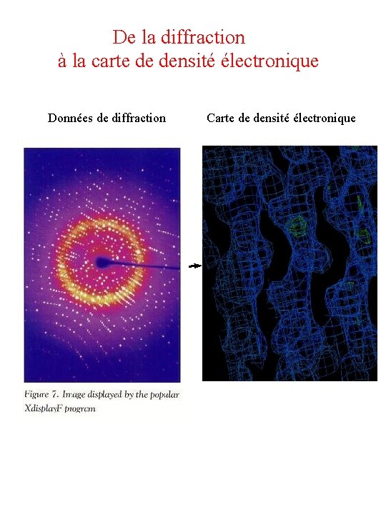 De la diffraction à la carte de densité électronique Données de diffraction Carte de