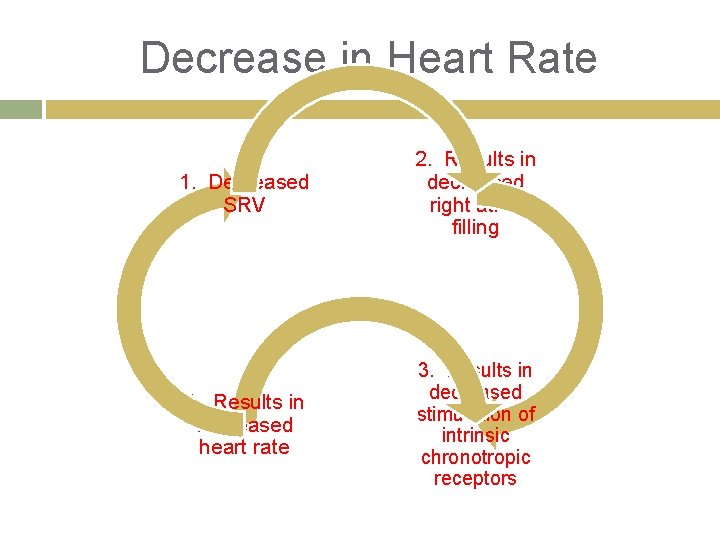 Decrease in Heart Rate 1. Decreased SRV 2. Results in decreased right atrial filling