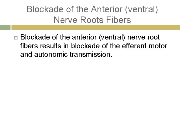 Blockade of the Anterior (ventral) Nerve Roots Fibers Blockade of the anterior (ventral) nerve