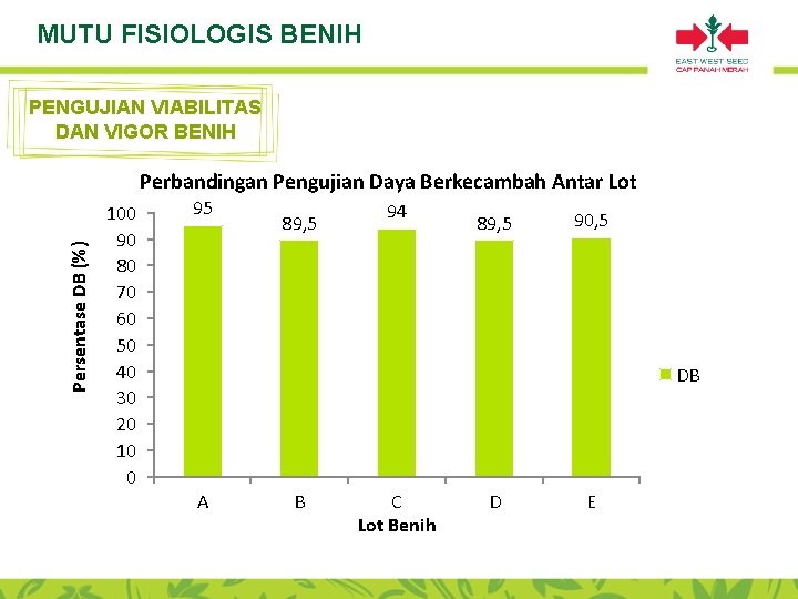 MUTU FISIOLOGIS BENIH PENGUJIAN VIABILITAS DAN VIGOR BENIH Persentase DB (%) Perbandingan Pengujian Daya