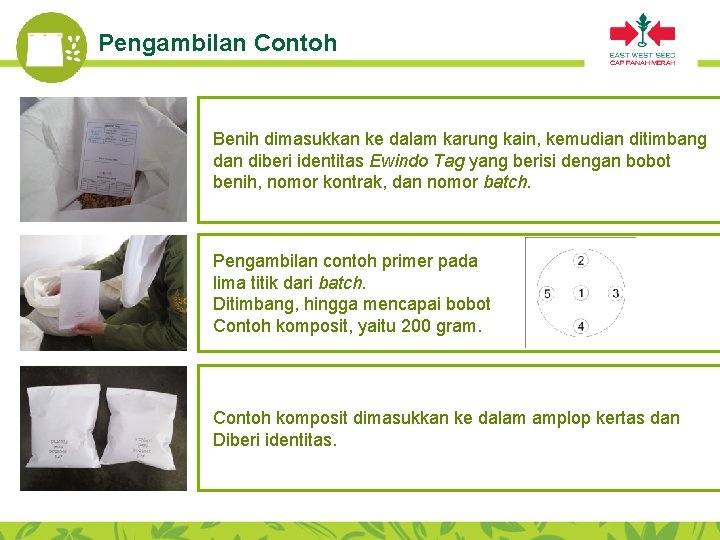 Pengambilan Contoh Benih dimasukkan ke dalam karung kain, kemudian ditimbang dan diberi identitas Ewindo