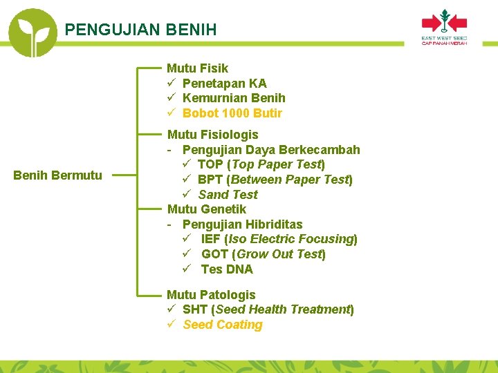 PENGUJIAN BENIH Mutu Fisik ü Penetapan KA ü Kemurnian Benih ü Bobot 1000 Butir