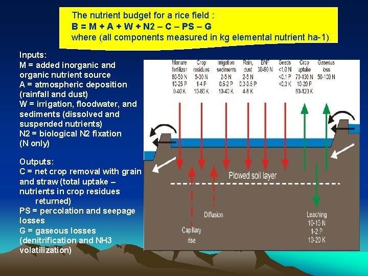 The nutrient budget for a rice field : B = M + A +