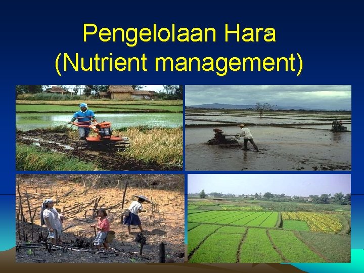 Pengelolaan Hara (Nutrient management) 