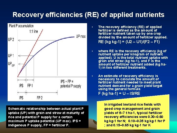 Recovery efficiencies (RE) of applied nutrients • The recovery efficiency (RE) of applied fertilizer
