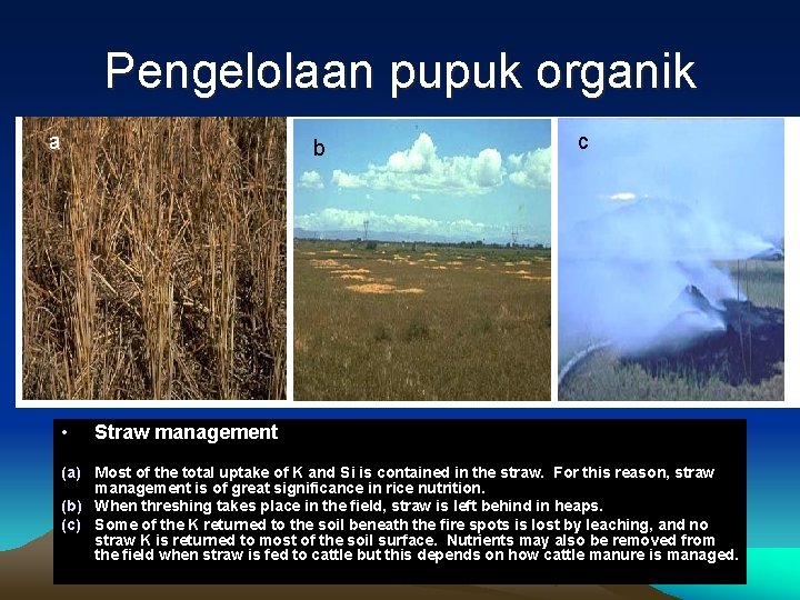 Pengelolaan pupuk organik a b • c Straw management (a) Most of the total
