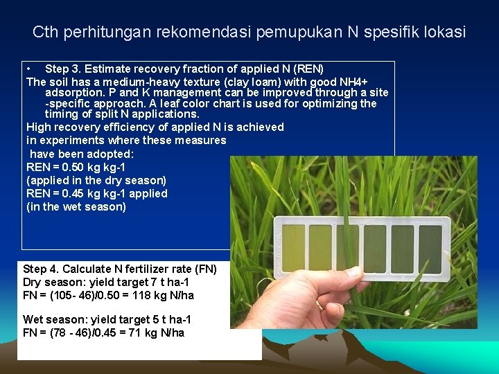 Cth perhitungan rekomendasi pemupukan N spesifik lokasi • Step 3. Estimate recovery fraction of