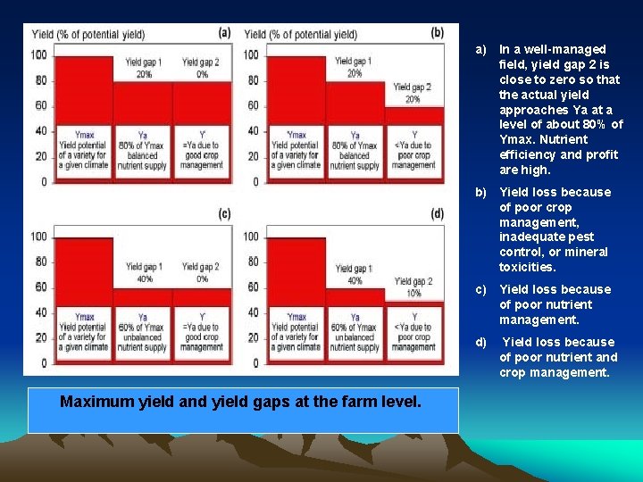 a) In a well-managed field, yield gap 2 is close to zero so that