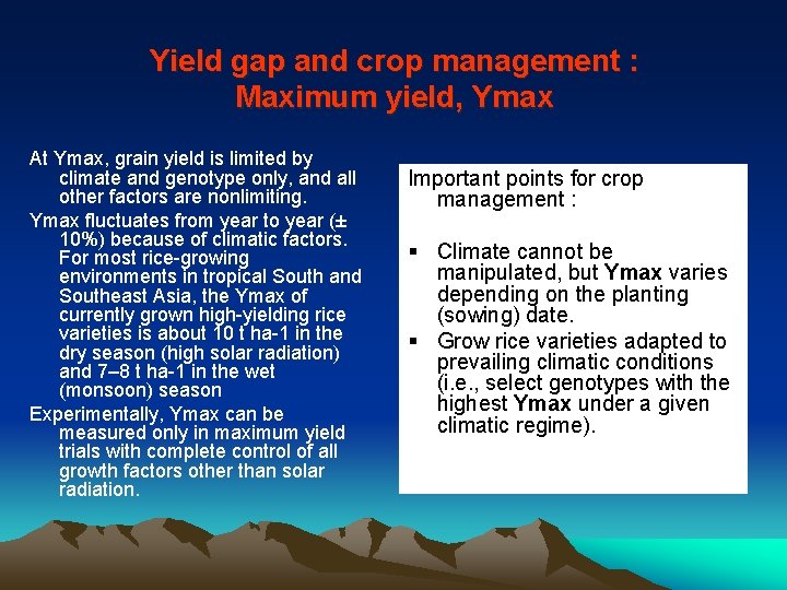 Yield gap and crop management : Maximum yield, Ymax At Ymax, grain yield is