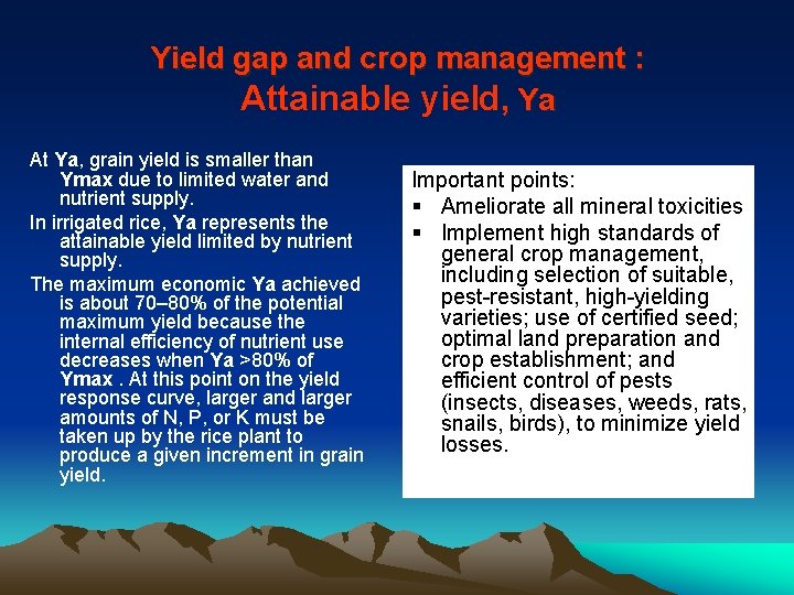 Yield gap and crop management : Attainable yield, Ya At Ya, grain yield is