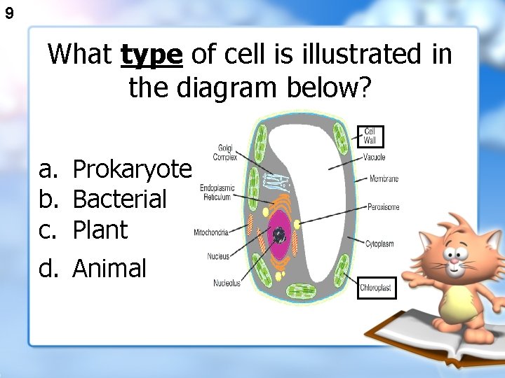 9 What type of cell is illustrated in the diagram below? a. Prokaryote b.