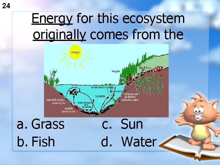24 Energy for this ecosystem originally comes from the a. Grass b. Fish c.