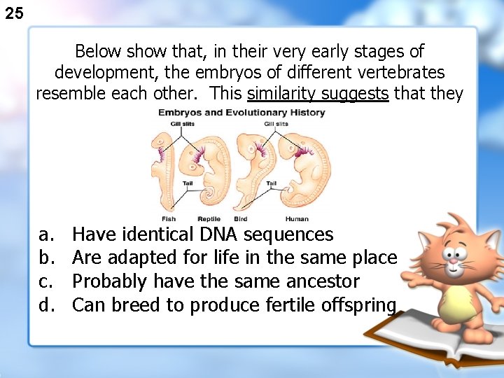 25 Below show that, in their very early stages of development, the embryos of