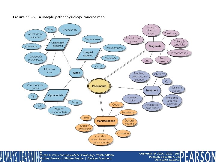 Figure 13– 5 A sample pathophysiology concept map. Kozier & Erb's Fundamentals of Nursing,