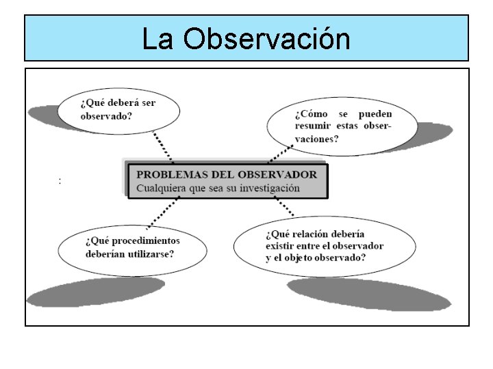 La Observación 