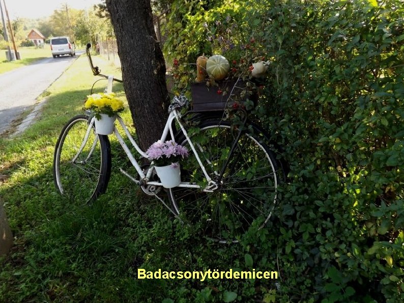 Badacsonytördemicen 