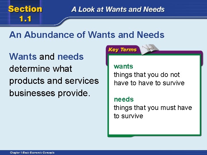 An Abundance of Wants and Needs Wants and needs determine what products and services