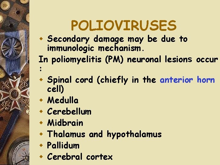 POLIOVIRUSES w Secondary damage may be due to immunologic mechanism. In poliomyelitis (PM) neuronal