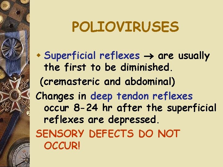 POLIOVIRUSES w Superficial reflexes are usually the first to be diminished. (cremasteric and abdominal)