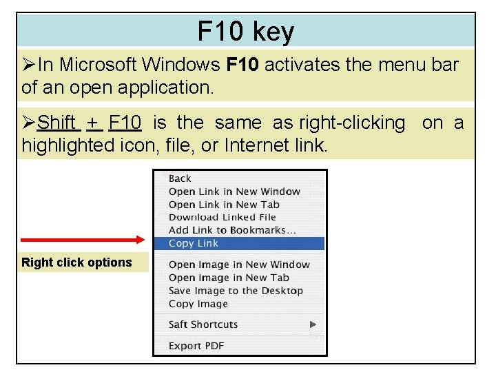 F 10 key ØIn Microsoft Windows F 10 activates the menu bar of an F 10 key ØIn Microsoft Windows F 10 activates the menu bar of an