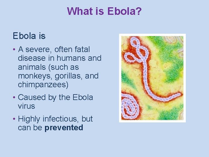 What is Ebola? Ebola is • A severe, often fatal disease in humans and