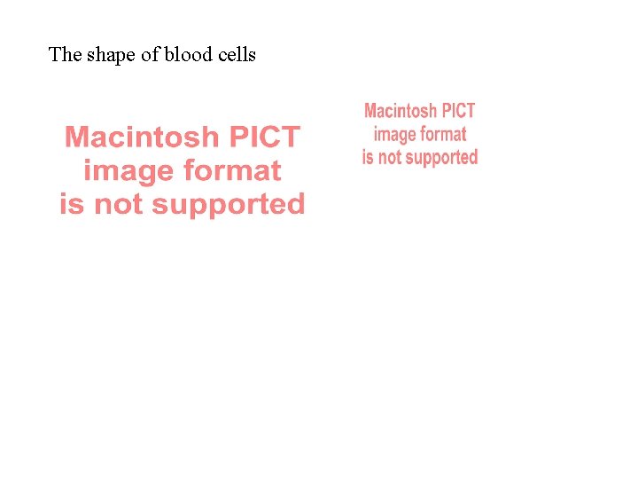 The shape of blood cells 