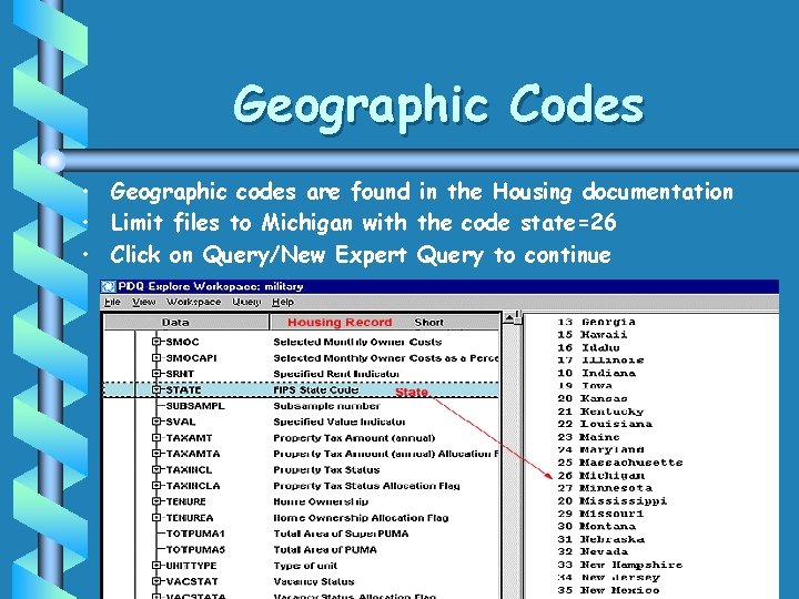 Geographic Codes • Geographic codes are found in the Housing documentation • Limit files Geographic Codes • Geographic codes are found in the Housing documentation • Limit files