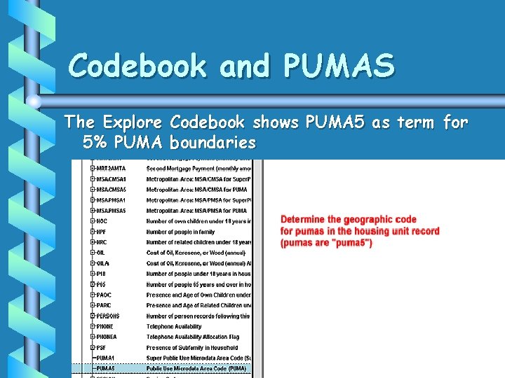 Codebook and PUMAS The Explore Codebook shows PUMA 5 as term for 5% PUMA Codebook and PUMAS The Explore Codebook shows PUMA 5 as term for 5% PUMA