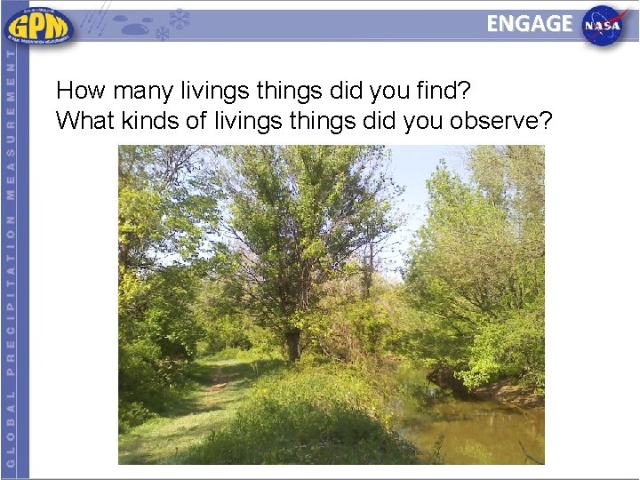 ENGAGE How many livings things did you find? What kinds of livings things did