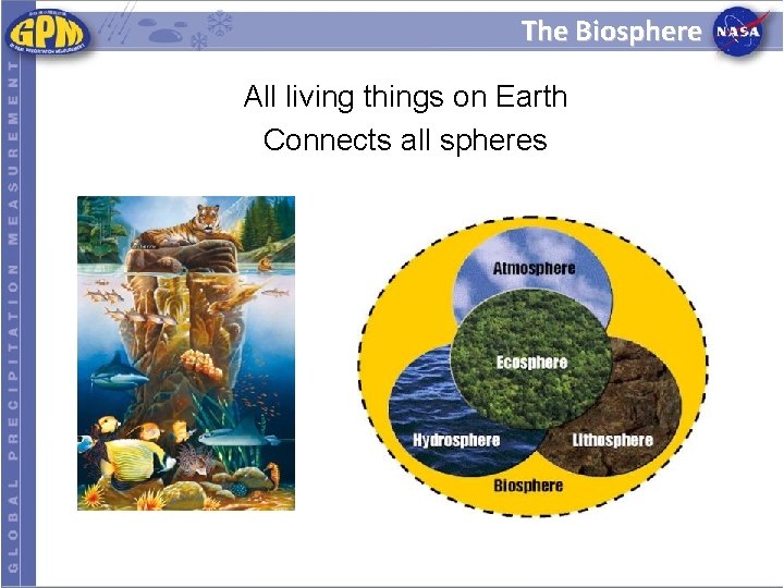 The Biosphere All living things on Earth Connects all spheres 