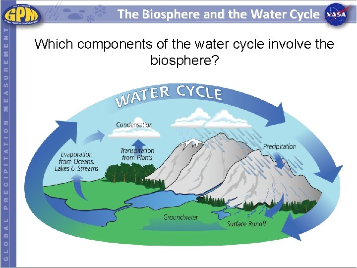 The Biosphere and the Water Cycle Which components of the water cycle involve the