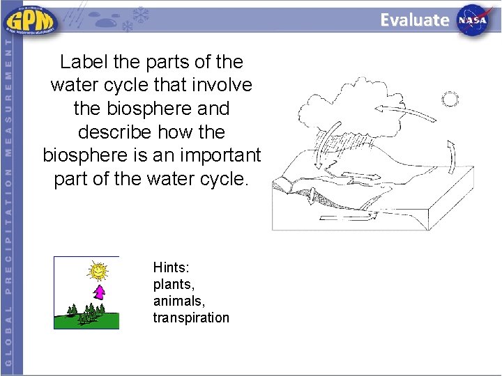 Evaluate Label the parts of the water cycle that involve the biosphere and describe