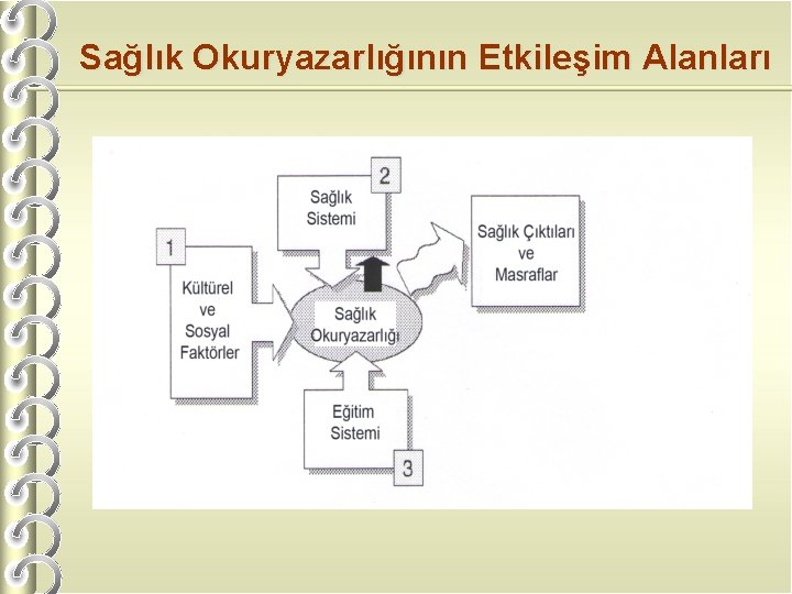 Sağlık Okuryazarlığının Etkileşim Alanları Kaynak: European Health Forum Gastein 2004 