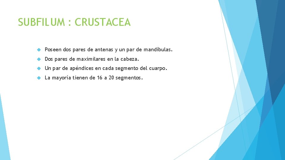 SUBFILUM : CRUSTACEA Poseen dos pares de antenas y un par de mandíbulas. Dos