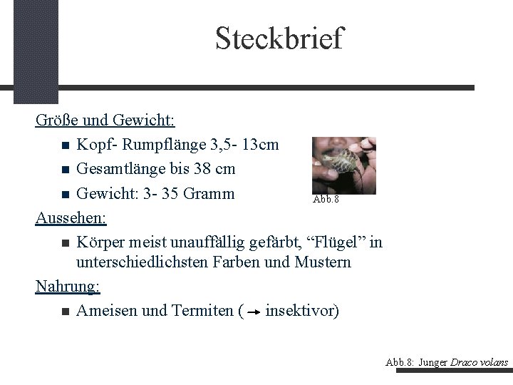 Steckbrief Größe und Gewicht: Kopf- Rumpflänge 3, 5 - 13 cm Gesamtlänge bis 38